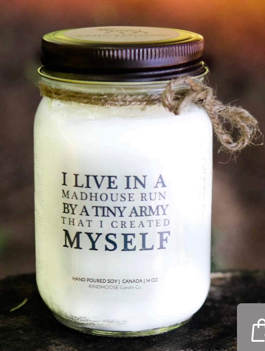 I live in a mad house run by a tiny army I created myself