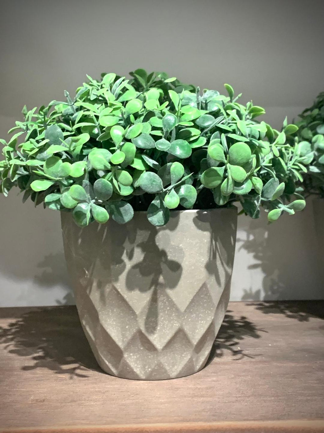 Teardrop leaf plant pot